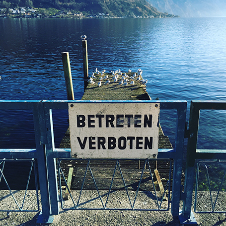 instagram05